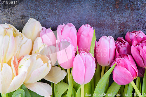 Image of Fresh tulips on gray background