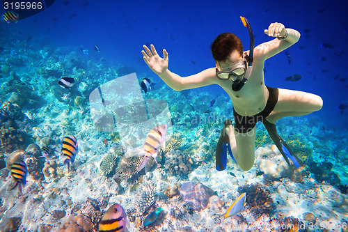 Image of Snorkeler Maldives Indian Ocean coral reef.