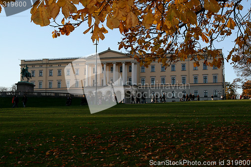 Image of The Royal castle (chilly teezer)