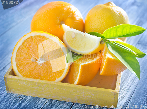 Image of citrus