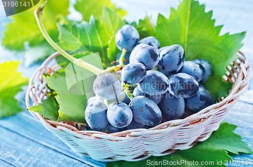 Image of grape