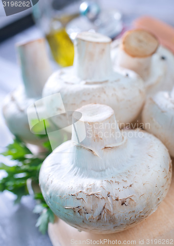 Image of mushroom