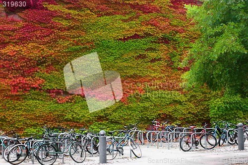 Image of University of Cambridge, Churchill college bicycle park