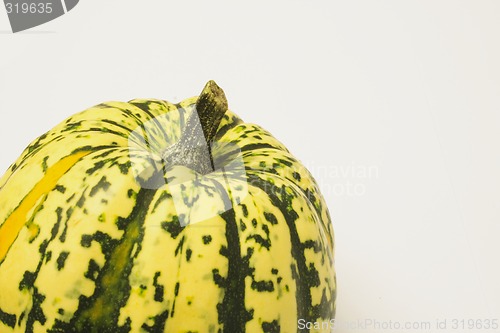 Image of green and yellow ornamental squash