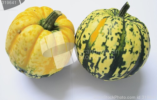 Image of green and yellow ornamental squashes