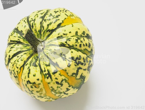 Image of green and yellow ornamental squash