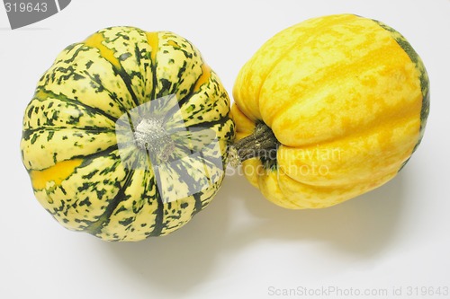 Image of green and yellow ornamental squashes