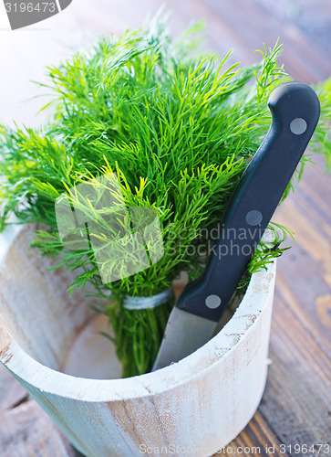 Image of fresh dill