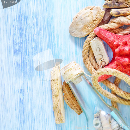 Image of sea shells on blue background