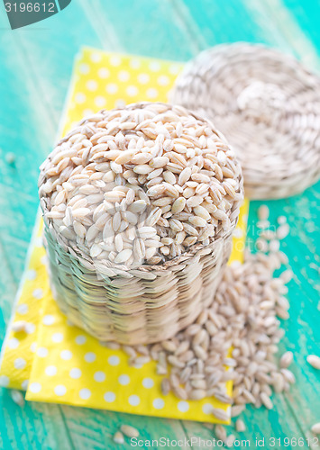 Image of raw wheat