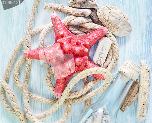 Image of sea shells on blue background