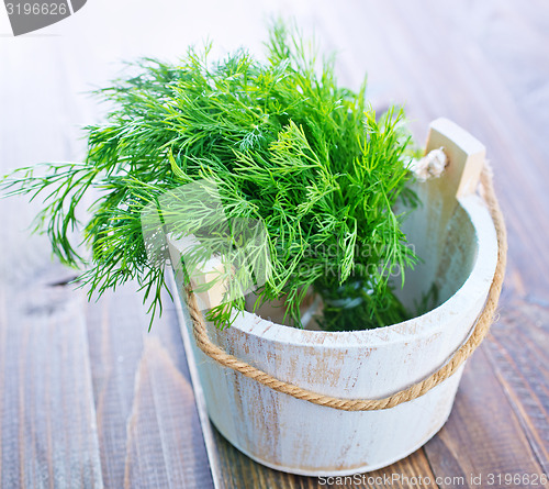 Image of fresh dill