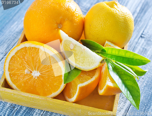 Image of citrus