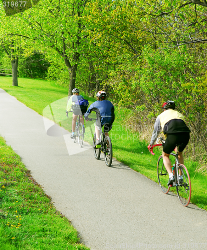 Image of Bicycling in a park