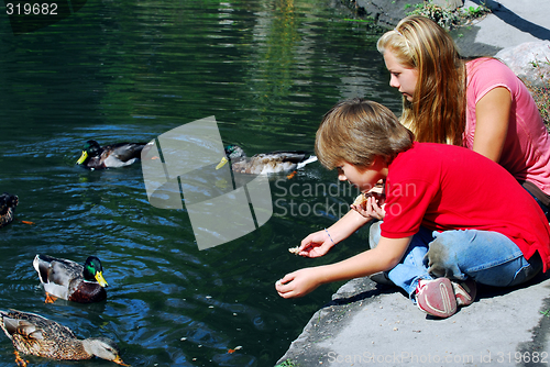 Image of Children feeding ducks