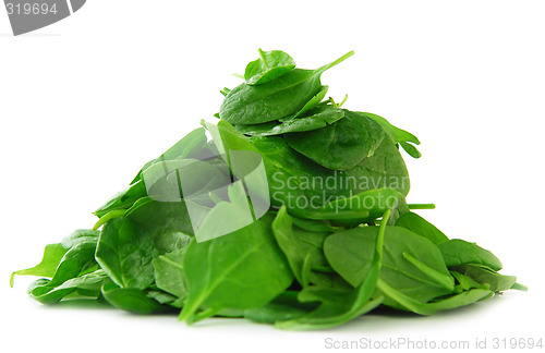 Image of Spinach