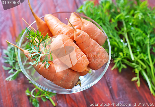 Image of carrot