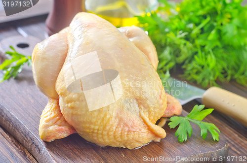 Image of chicken