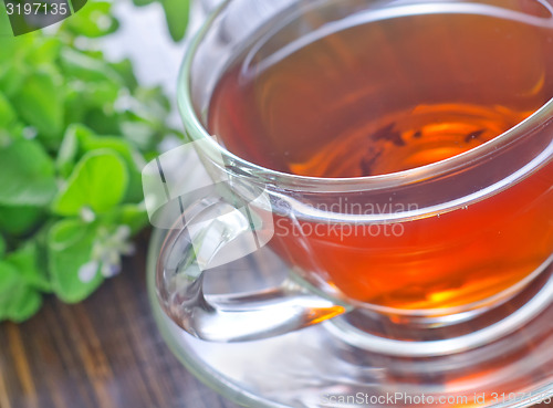 Image of fresh tea in cup