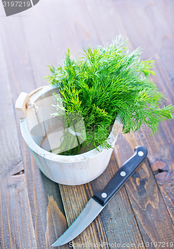 Image of fresh dill