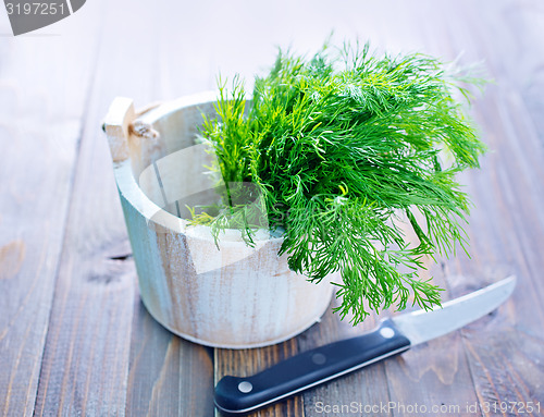 Image of fresh dill