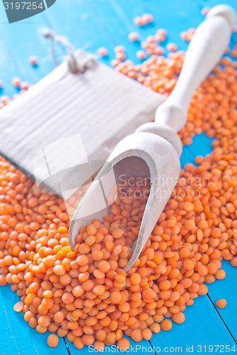 Image of lentil