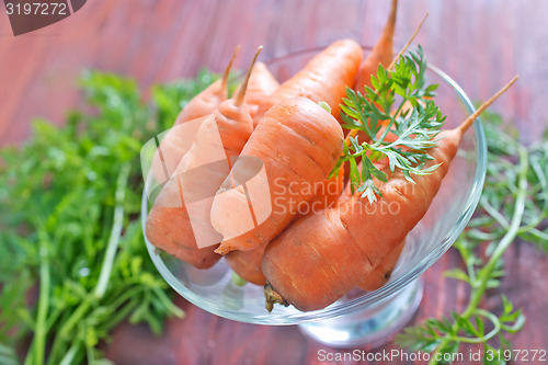 Image of carrot