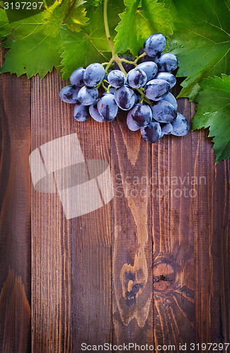 Image of grape