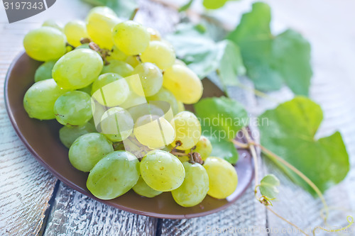 Image of grape