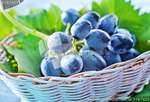 Image of grape