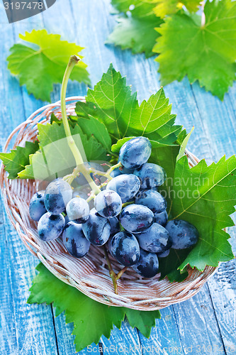 Image of grape