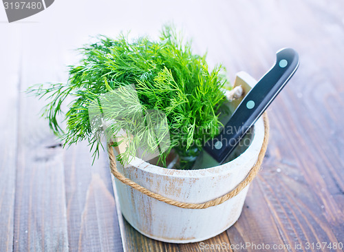 Image of fresh dill