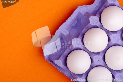 Image of Chicken eggs in egg tray