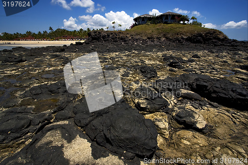 Image of cabin in andilana beach , madagascar 