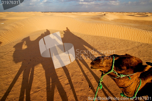 Image of sunrise in the sahara\'s desert