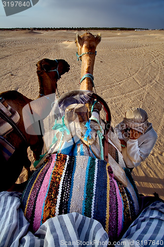 Image of saddle in sahara