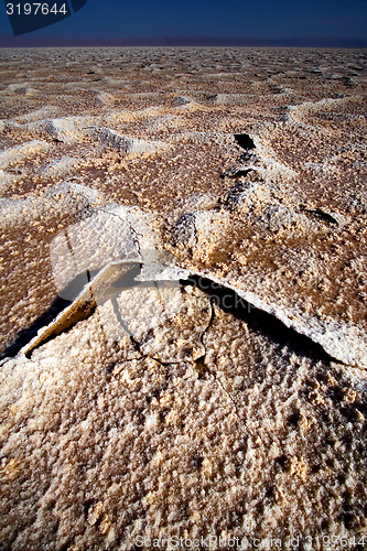 Image of chott el jerid,tunisia