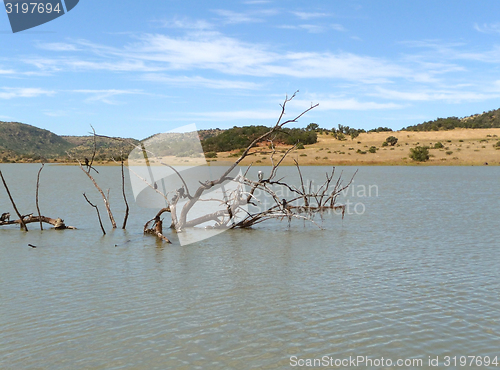 Image of Pilanesberg Game Reserve