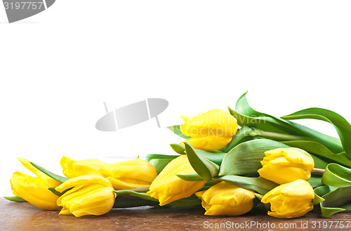 Image of Yellow tulips 