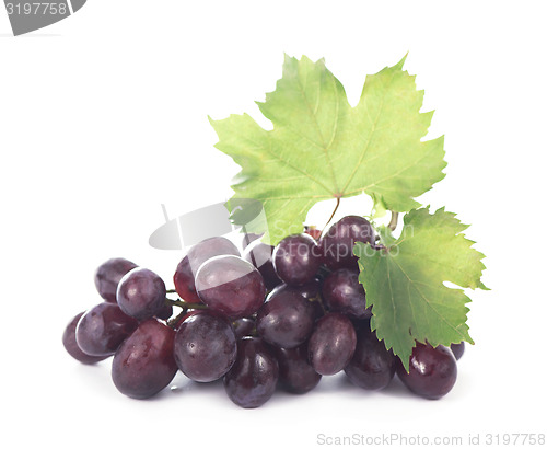 Image of grapes bunch