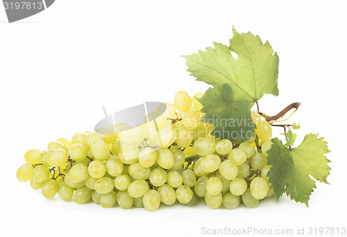 Image of grapes bunch