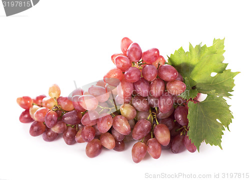 Image of grapes bunch