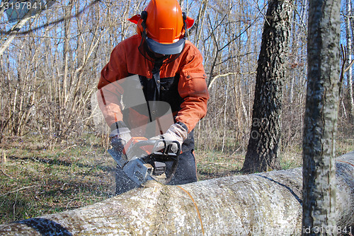 Image of Lumberjack with a chainsaw