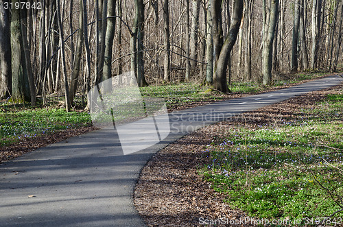 Image of Winding walkway