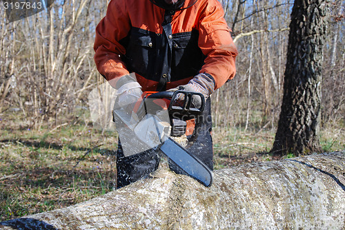 Image of Chainsaw in action