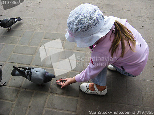 Image of The girl feeding the pigeons