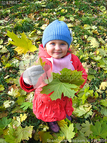 Image of The little girl with yellow leaf in autumn