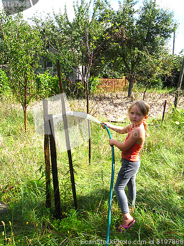 Image of The girl watering a kitchen garden