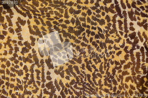 Image of Part of the surface the nylon scarf with animal pattern. macro