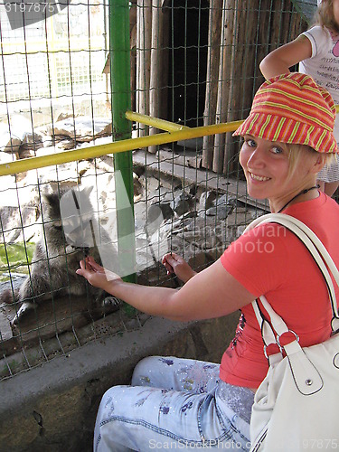 Image of The girl feeding a raccoon in a zoo